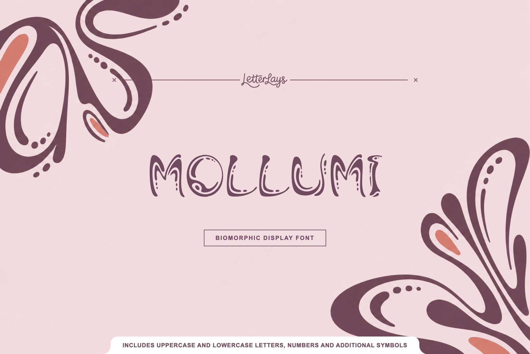 Mollumi presentation